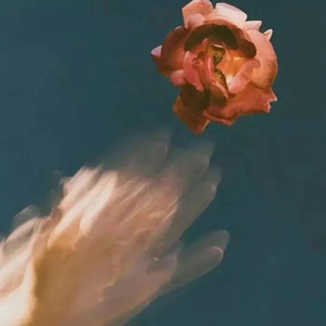 亚洲美女丝袜视频姐弟乱伦
