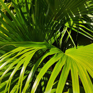 亚洲美女丝袜视频姐弟乱伦
